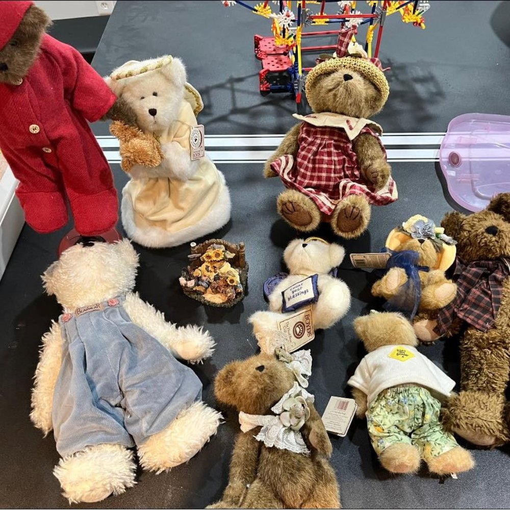 Boyd Bear LOT
